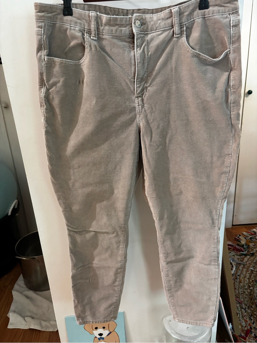 American Eagle Outfitters Light Beige Corduroy Skinny Pants